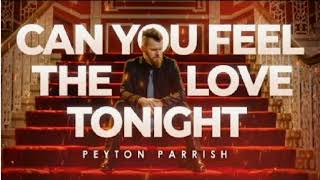 Can You Feel The Love Tonight - The Lion King & Elton John (Peyton Parrish ROCK Cover)