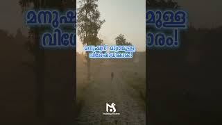 മനുഷ്യന്  മാത്രമുള്ള  വിശേഷാധികാരം  #mstrainingsystem #lawofattractionmalayalam #monishsharaf