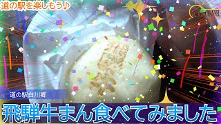 【白川郷】岐阜県の道の駅と白川郷に行ってみました。【道の駅】