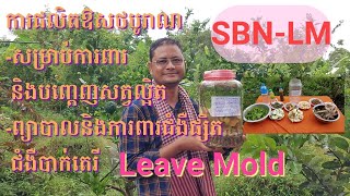 ការផលិតឱសថបុរាណ(SBN-LM)សម្រាប់ការពារ និងបញ្តេញសត្វល្អិត,ព្យាបាលនិងការពារជំងឺផ្សិត ជំងឺបាក់តេរី