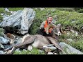 Montana Bighorn Sheep Hunt