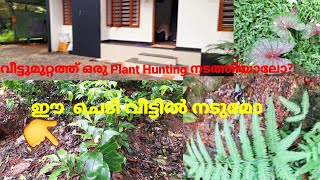 വീട്ടുമുറ്റത്ത് ഒരു Plant Hunting/Plant Hunting