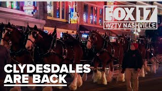 TROTTING DOWN BROADWAY: Budweiser's Clydesdales are back in Nashville!