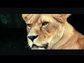 Daniel Deuschle - ENDURING HOPE (VonPid Remix)
