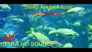 Meditation Music Relaxing soothing sounds, beautiful Forest & fish UNDER WATER videos. by Meditate