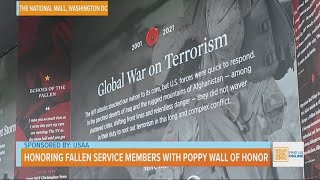Honoring Fallen Service Members With Poppy Wall of Honor