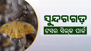 Tasar Silk Park in Sundargarh for 'Soil to Silk' Ecosystem | ସୁନ୍ଦରଗଡ଼ ଜିଲ୍ଲାରେ ‘ଟସର ସିଲକ ପାର୍କ’