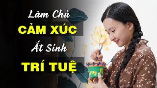 Dễ Nóng Giận Mất Kiểm Soát? Đâu Là Nguyên Nhân Và Giải Pháp| Tuệ An