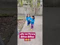 একি গান শিখলো শ্রীণিকা শ্রীনীজা 😂🤣 youtubeshort shrinija shrinika