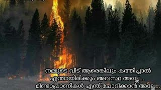 ഗുണ്ടൽപേട്ട് ഊട്ടി റോഡ് അടച്ചു ബന്ദിപ്പൂർ ടൈഗർ റിസവ് കവാടത്തിനടുത്ത് വൻ തീപിടിത്തം...