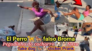 El Perro invisble broma / Pegadinha do cachorro invisvel / Fake dog prank