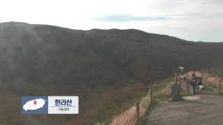 제주도 오늘의 모습! 나우제주tv