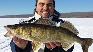 Best Walleye Fishing in Alberta Lesser Slave Lake