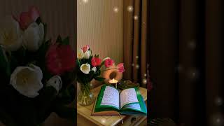 Beautiful Qur'an recitation 🤍🎧✨|Rashid Alafasy #viral #quranverses #quran #islamicshorts