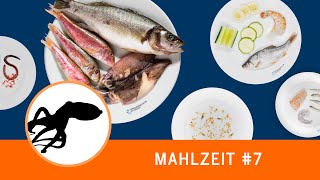 Mahlzeit #7: Wer frisst Wolfsbarsch, Meerbarben und Tintenfisch?