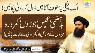 Badhazmi,Joron Kamar Dard Aur Mohron Ka Dard Ka ilaj | Quickly Joints Pain Relief Treatment  ubqari