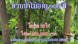 ❌️ปิดการขาย❌️ ปท325 สวนป่าไม้อายุร้อยปี โฉนด 10 ไร่ ขาย 3.5ล้าน อ.ทัพทัน จ อุทัยธานี โทร089-805-8670