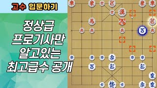 정상급 프로기사만 아는 최고급수 공개합니다[장기스쿨]