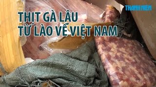 Lái xe máy không biển số buôn lậu thịt gà từ Lào sang Việt Nam