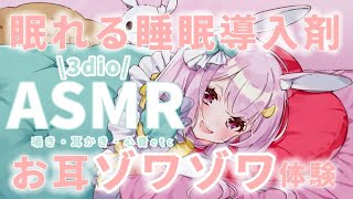 【＃asmr】初めての3dioで寝落ち枠 #新人vtuber #vtuber #3dio