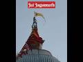 Sri Jagannath temple flag changing | puri Jagannath temple 🙏🙏 #jagannath #puri #flag