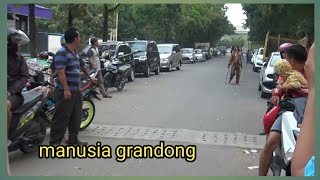 manusia grandong