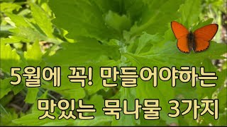 5월에 꼭 만들어야하는 맛있는 묵나물 3가지 (자리공,개망초,뽕나무)