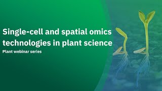 Single-cell and spatial omics technologies in plant science