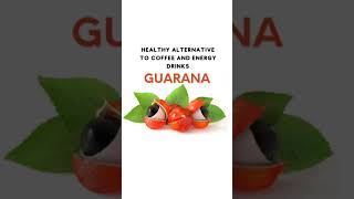 Healthy Alternative to Coffee And Energy Drinks | Superfood Guarana Powder