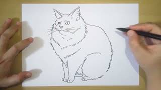 How to Draw a Cat In 6 Minutes Step by Step For Beginners | Drawing Turorial