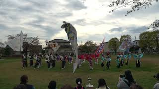 【かみかわ華しぶき】総踊り　2024.11.17 田尻ふれあい祭り