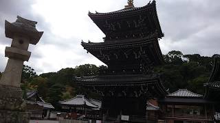 大阪・貝塚「水間寺（水間観音）」