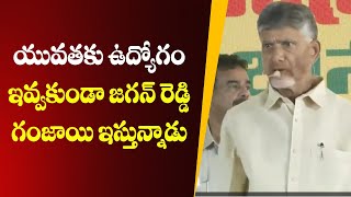 TDP Chief Chandrababu Speech About Ap Youth | Ap Politics | TDP Official