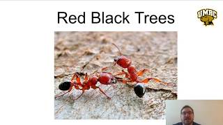 CMSC 341 - Red Black Trees, Part 1