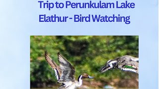 Visit to Perunkulam Lake, Elathur for Bird Watching on 26.03.2024