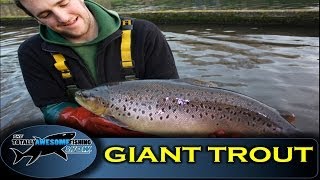 Giant Brown Trout of Dever Springs (Exclusive!) - The Totally Awesome Fishing Show