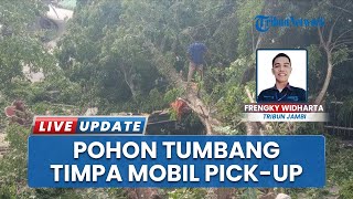 Pohon Tumbang Timpa Mobil di Jalur Tiga Bangko Merangin Jambi, Evakuasi Berlangsung Dramatis