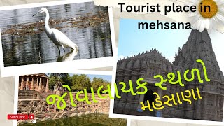 જોવાલાયક સ્થળો મહેસાણા ll tourist places in mehsana ll Gujarat ll India