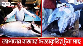 সাড়ে ৮ কোটি টাকার একটি মাছ | DBC NEWS Special