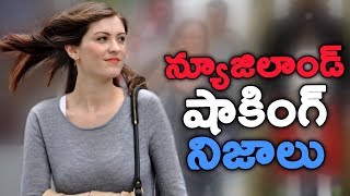 న్యూజిలాండ్ షాకింగ్ నిజాలు || Shocking Facts about New Zealand || T Talks