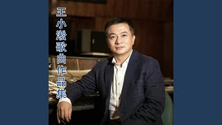 南方的心 (南方报业集团形象歌曲)