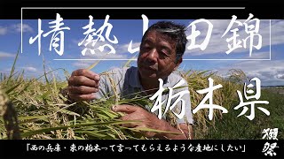 Passion for Yamada Nishiki - The Yamada Nishiki Farming Research Center, Tochigi prefecture