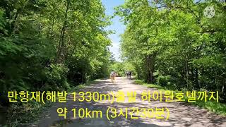 해발1100m 운탄고도 천상의 숲길을 걷다