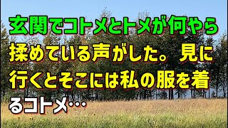 【スカッとひろゆき】玄関でコトメとトメが何やら揉めている声がした。見に行くとそこには私の服を着るコトメ…