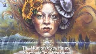 The Human Experience - \