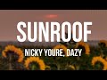 Nicky Youre, dazy - Sunroof (Lyrics)