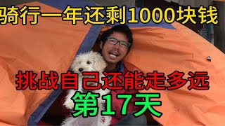 小伙太猛了，一个人在海拔4900米的荒郊野外露营，有野生动物也不怕，夜晚风太大，冻成狗了！