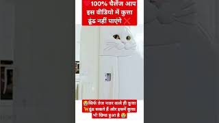 यहां  एक बिल्ली नजर आ रही है आप कुता दिखाएं 🦮 😻#funny #viral #cat #dog #youtuber #youtubeshort