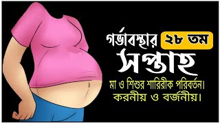 গর্ভাবস্থার আটাশ সপ্তাহ | সপ্তাহ অনুযায়ী গর্ভাবস্থা | ২৮ তম সপ্তাহ | 28 Weeks pregnant