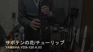 サボテンの花/チューリップ　YAMAHA YDS-120 A.03 アルトサックス